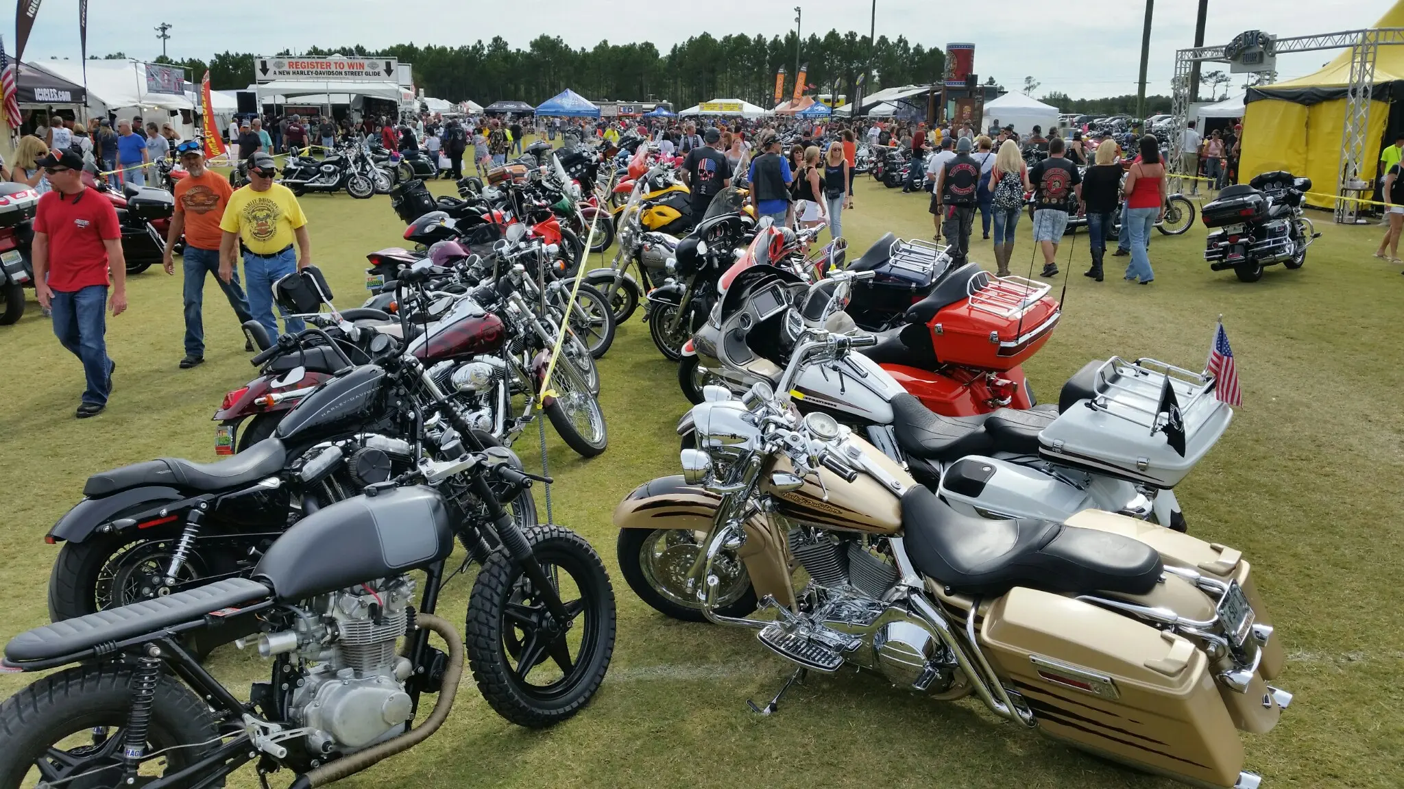 Harley-Davidson Motorcycles